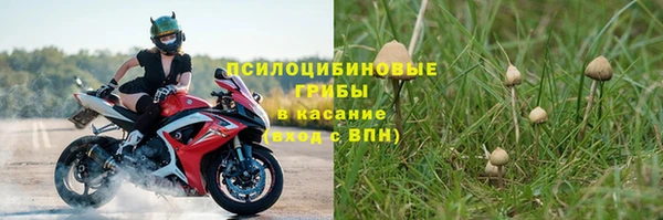 твердый Нефтекумск