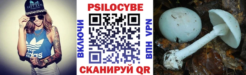 Псилоцибиновые грибы GOLDEN TEACHER  Хилок 
