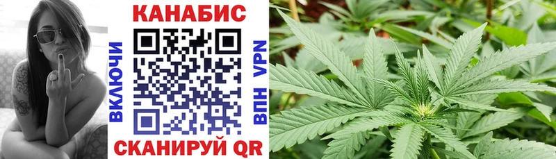 Бошки Шишки ГИДРОПОН  Хилок 